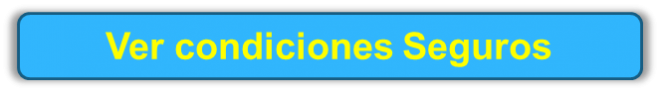 Ver condiciones Seguros