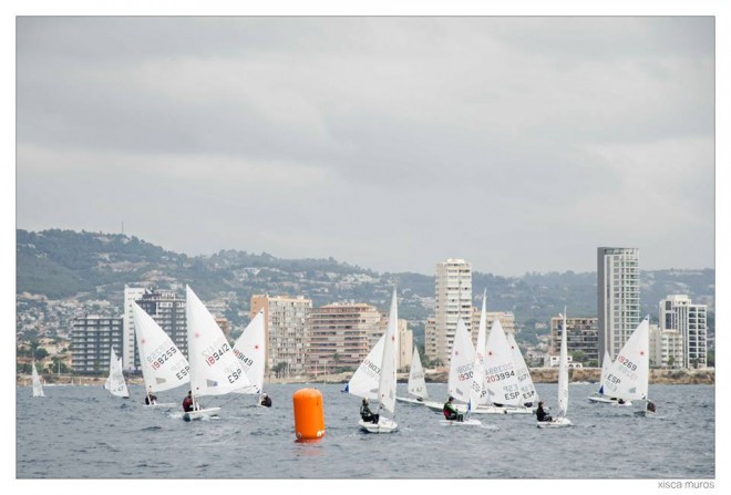 Trofeo Vela ligera IX14 8