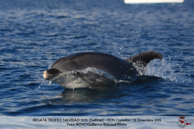 Fotografías Guillermo Baixauli