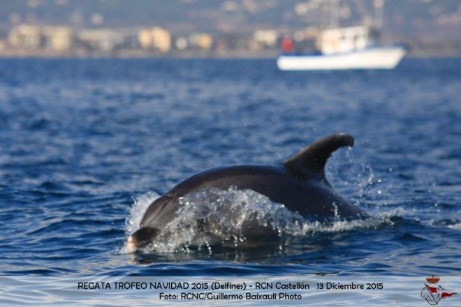 Fotografías Guillermo Baixauli